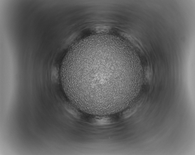 X0000116100667200911301104