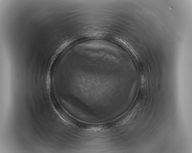 X0000116100674200911301103