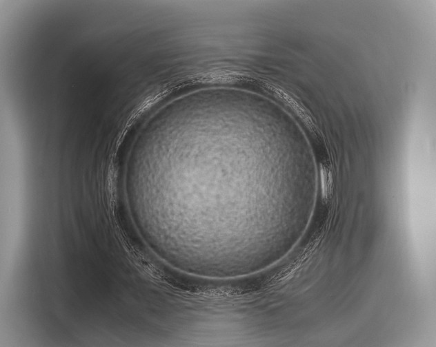 X0000116100675200911301103