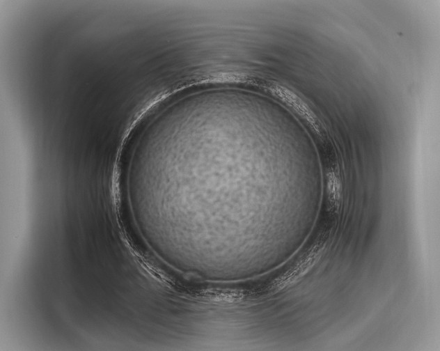 X0000116100676200911301103