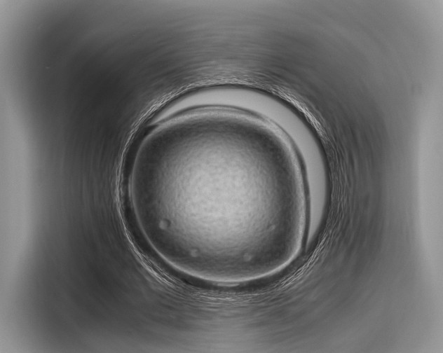 X0000116100677200911301103