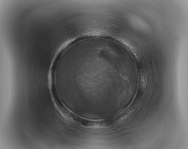 X0000116100678200911301103