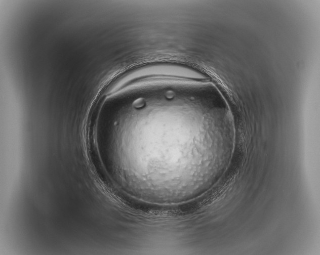 X0000116100679200911301103