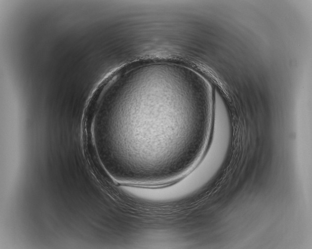 X0000116100680200911301103