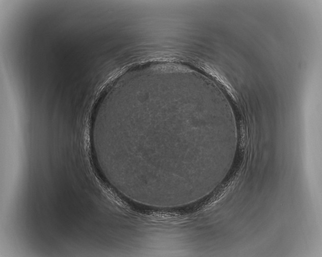 X0000116100681200911301103