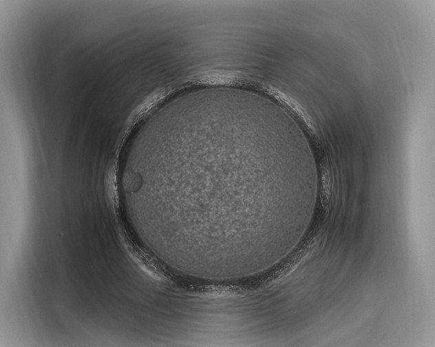 X0000116100682200911301103