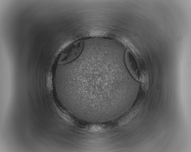 X0000116100684200911301103