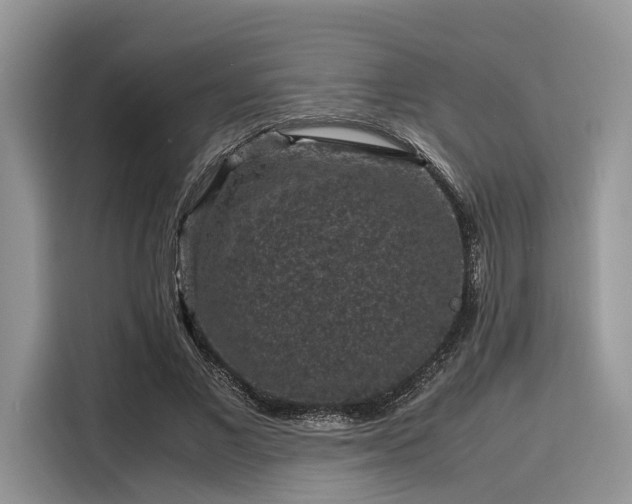 X0000116100685200911301103