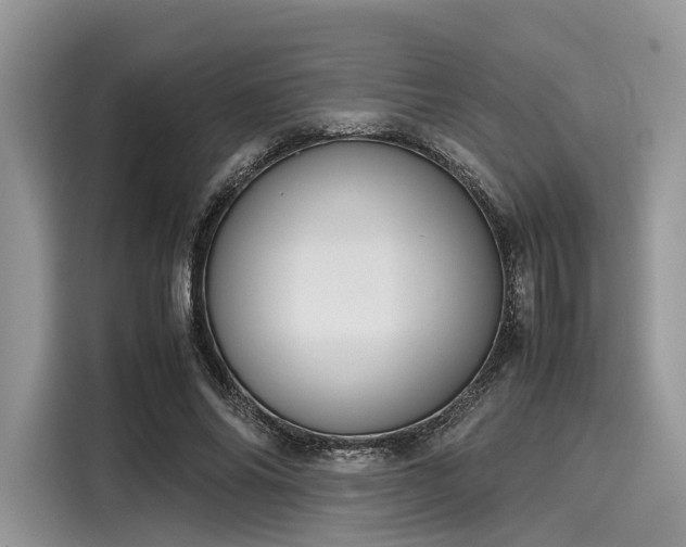 X0000116100686200911301103