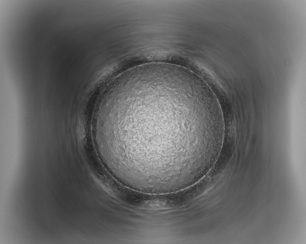 X0000116100687200911301103