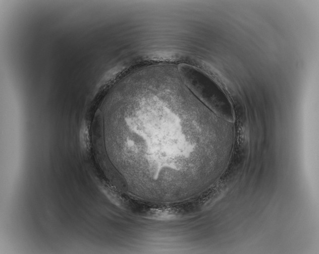 X0000116100688200911301103