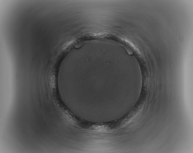 X0000116100689200911301103