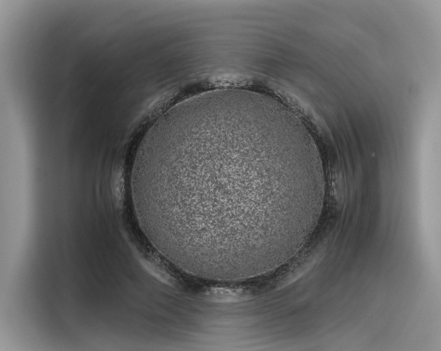 X0000116100690200911301103