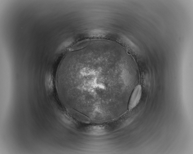 X0000116100692200911301103