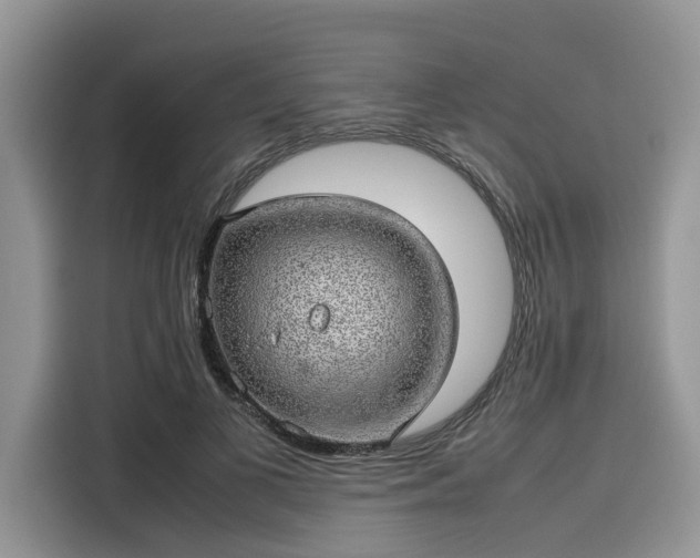 X0000116100693200911301103