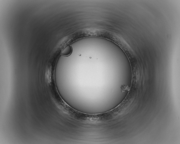 X0000116100694200911301103