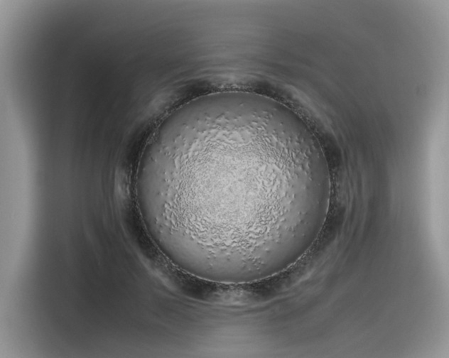 X0000116100695200911301103