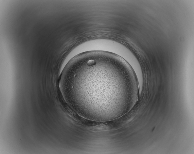 X0000116100696200911301103