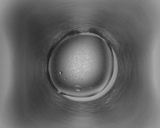 X0000116100697200911301103