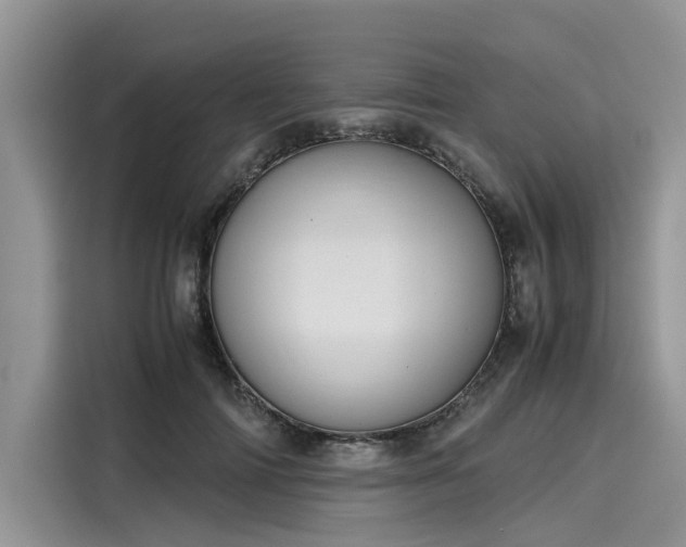 X0000116100698200911301103