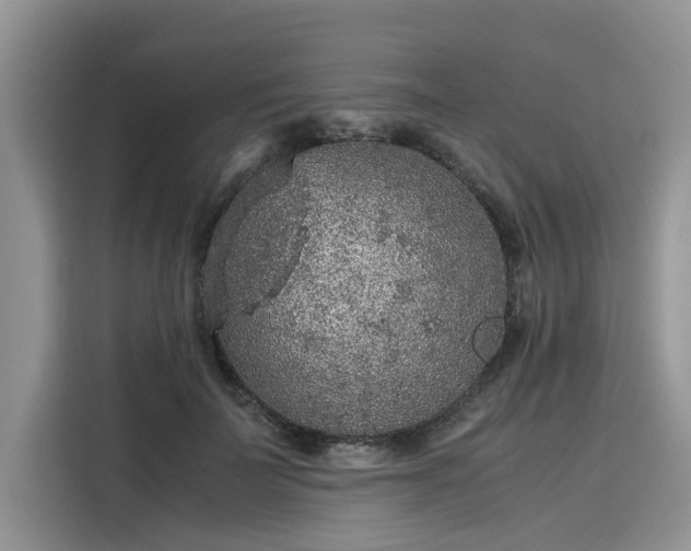 X0000116100699200911301103