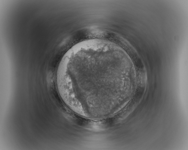 X0000116100701200911301103