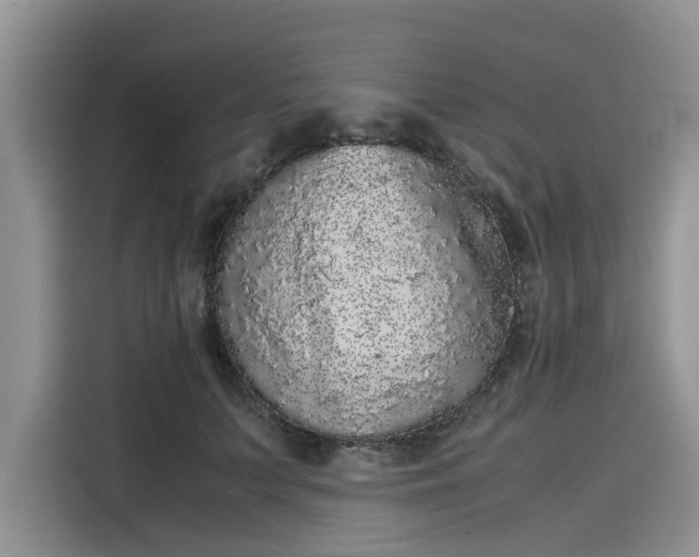 X0000116100703200911301103