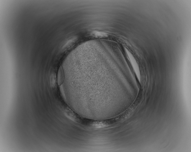 X0000116100704200911301103