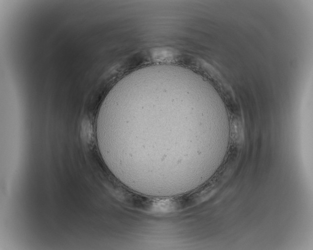 X0000116100705200911301103