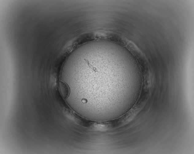 X0000116100706200911301103