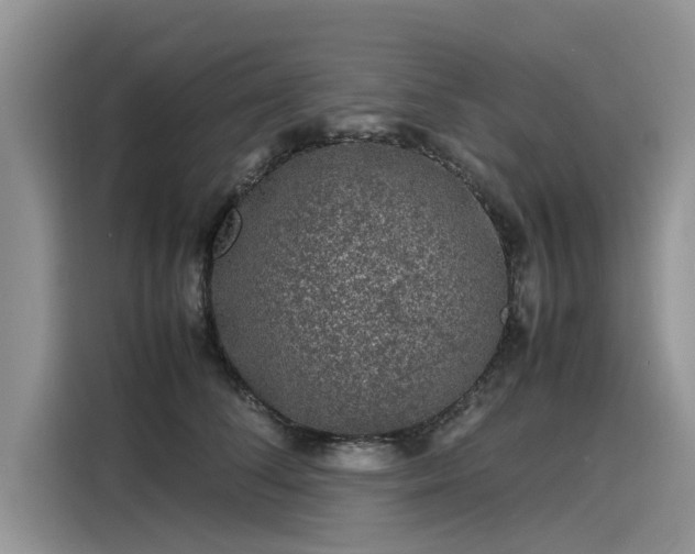 X0000116100708200911301103