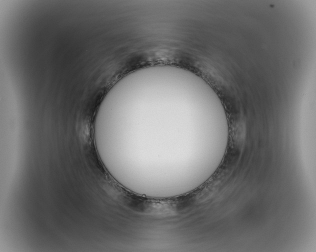 X0000116100709200911301103