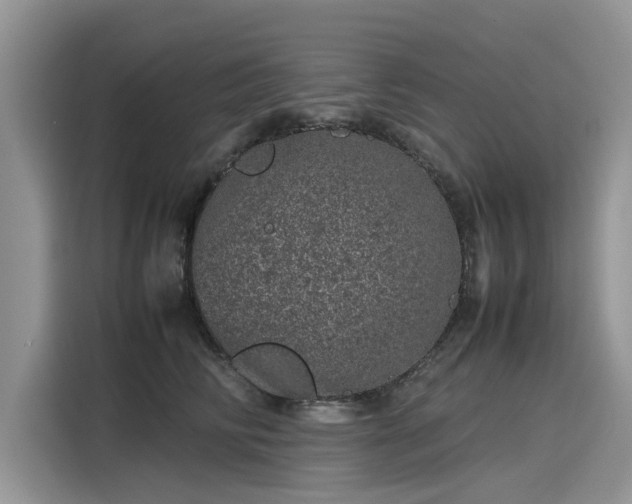 X0000116100710200911301103