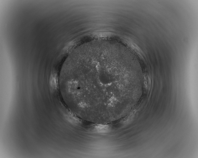 X0000116100718200911301103