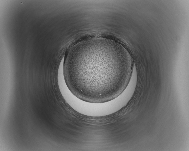 X0000116100720200911301103