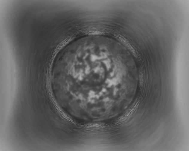 X0000116100721200911301102