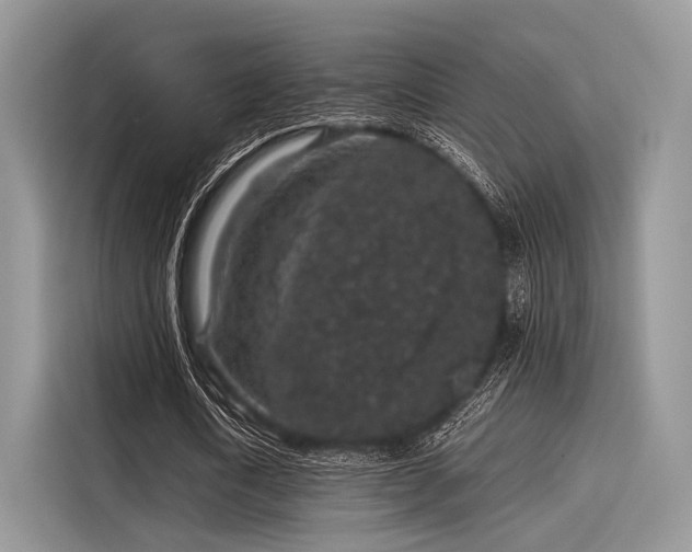 X0000116100722200911301102