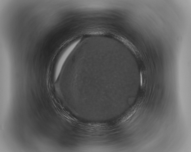 X0000116100723200911301102