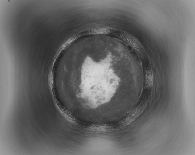 X0000116100726200911301102