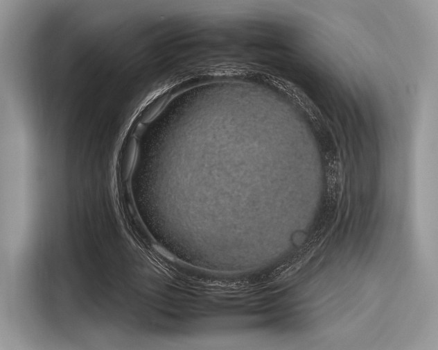 X0000116100727200911301102