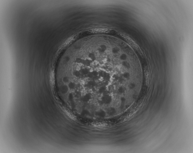 X0000116100729200911301102