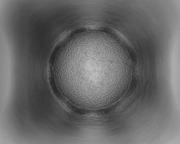 X0000116100738200911301102