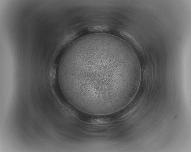 X0000116100739200911301102