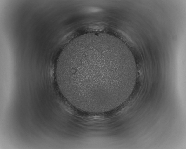 X0000116100745200911301102