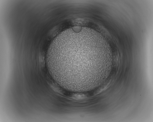 X0000116100749200911301102