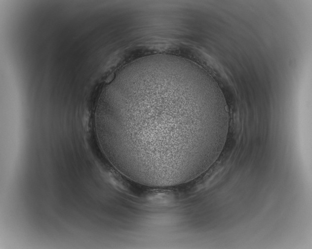 X0000116100750200911301102