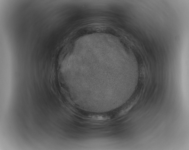 X0000116100751200911301102