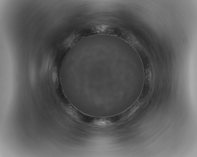 X0000116100754200911301102