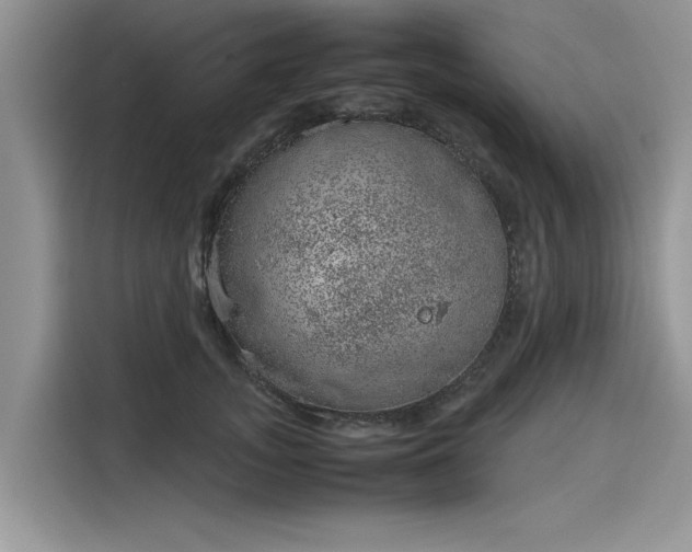 X0000116100755200911301102