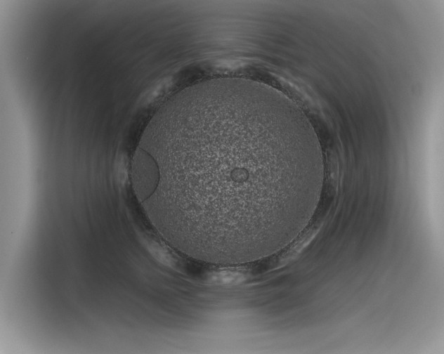 X0000116100758200911301102